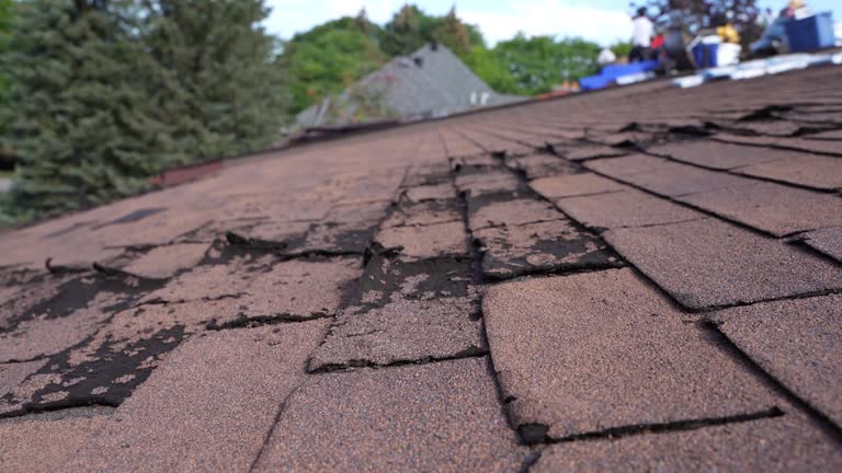 Roof Insulation in Neah Bay, WA